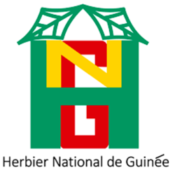 AUF — Agence Universitaire de la Francophonie